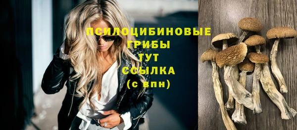 синтетический гашиш Армянск